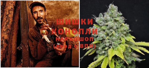 экстази Бородино