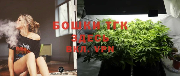 экстази Бородино