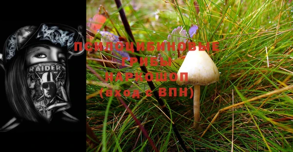 прущая мука Бронницы